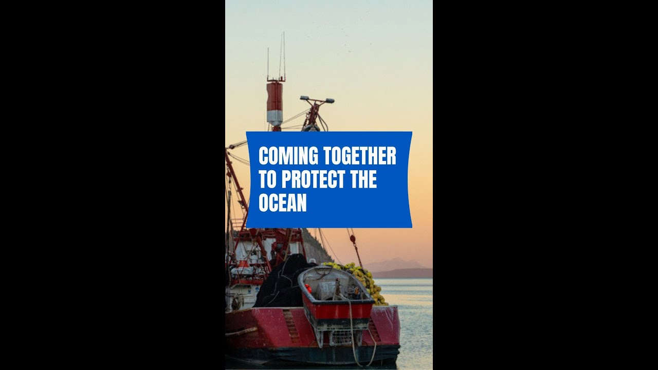 Coming together to protect the ocean in Sonora, Mexico