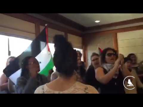 Saliem Shehadeh youtube video #2