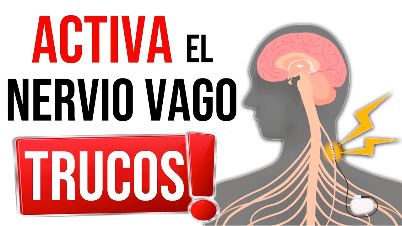 -  [ANSIEDAD, SUEÑO Y CANSANCIO] +  [CONCENTRACIÓN y MEMORIA] 💥 Consejos para Activar el Nervio Vago