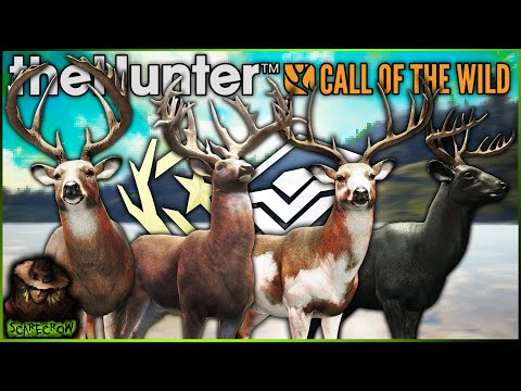 A Great One & Super Rare Whitetail WITHOUT Herd Management! Call of the wild