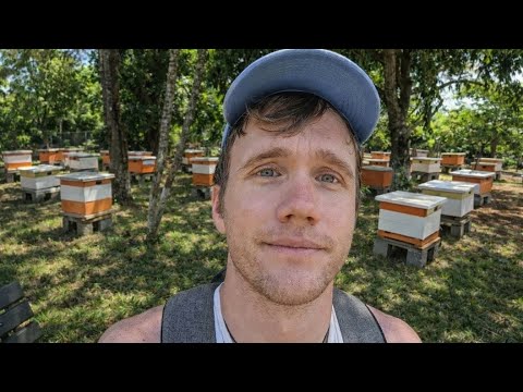 No sabía que existía un pueblo japonés en Paraguay… 😳 | La Colmena