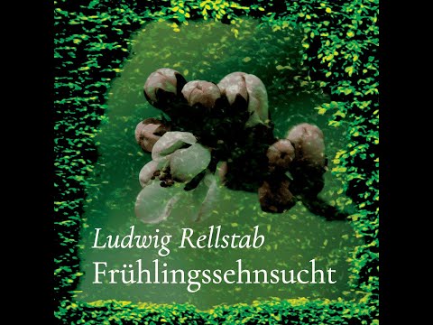«Frühlingssehnsucht» (Ludwig Rellstab) – vorgetragen von Tom von Arx