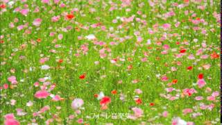Download lagu ガブリエル・ユルバン・フォーレ 音楽集 mp3 Download lagu ガブリエル・ユルバン・フォーレ 音楽集 mp3
