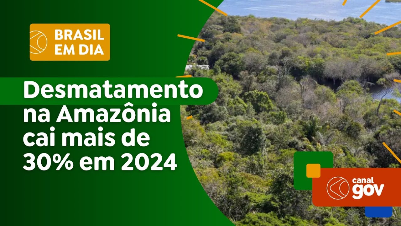 Desmatamento na Amazônia cai mais de 30% em 2024