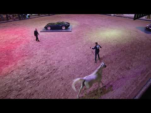 FRASERA NESHAR . FRASERA MASHAR  BY MAJD AL RAYYAN  & FRASERA BINT NEFISA  BY FRASERA RAMSES SHAH