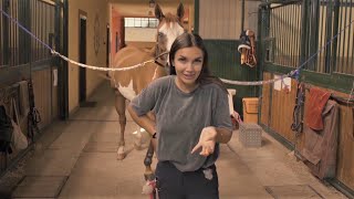 Elettra e il resto scompare | Passione cavalli: Ho bisogno di dare amore 💖