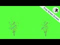 CONFETTI BLAST Green Screen