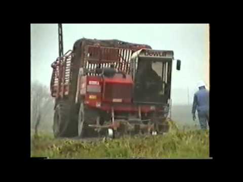 Loonw. Maesen - Beselare