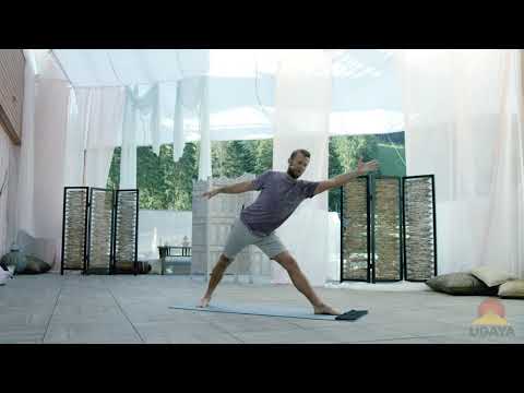 Vytas Baskauskas, Transition from Warrior 2 to Triangle Tutorial  I  UDAYA.com