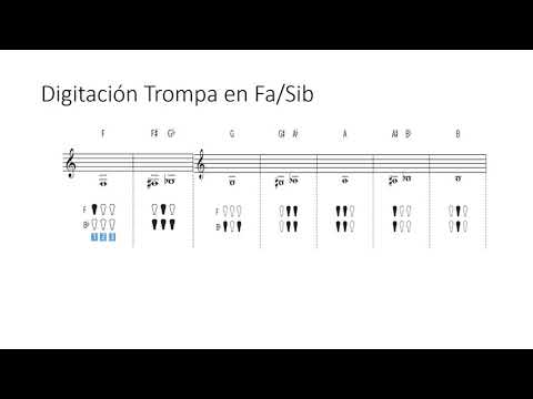 Digitación de la Trompa