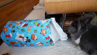 Rikka & Yui being spoiled during Christmas