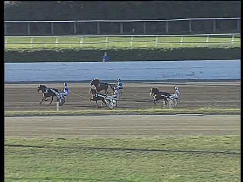 Trotto 14/05/2017 - corsa pony