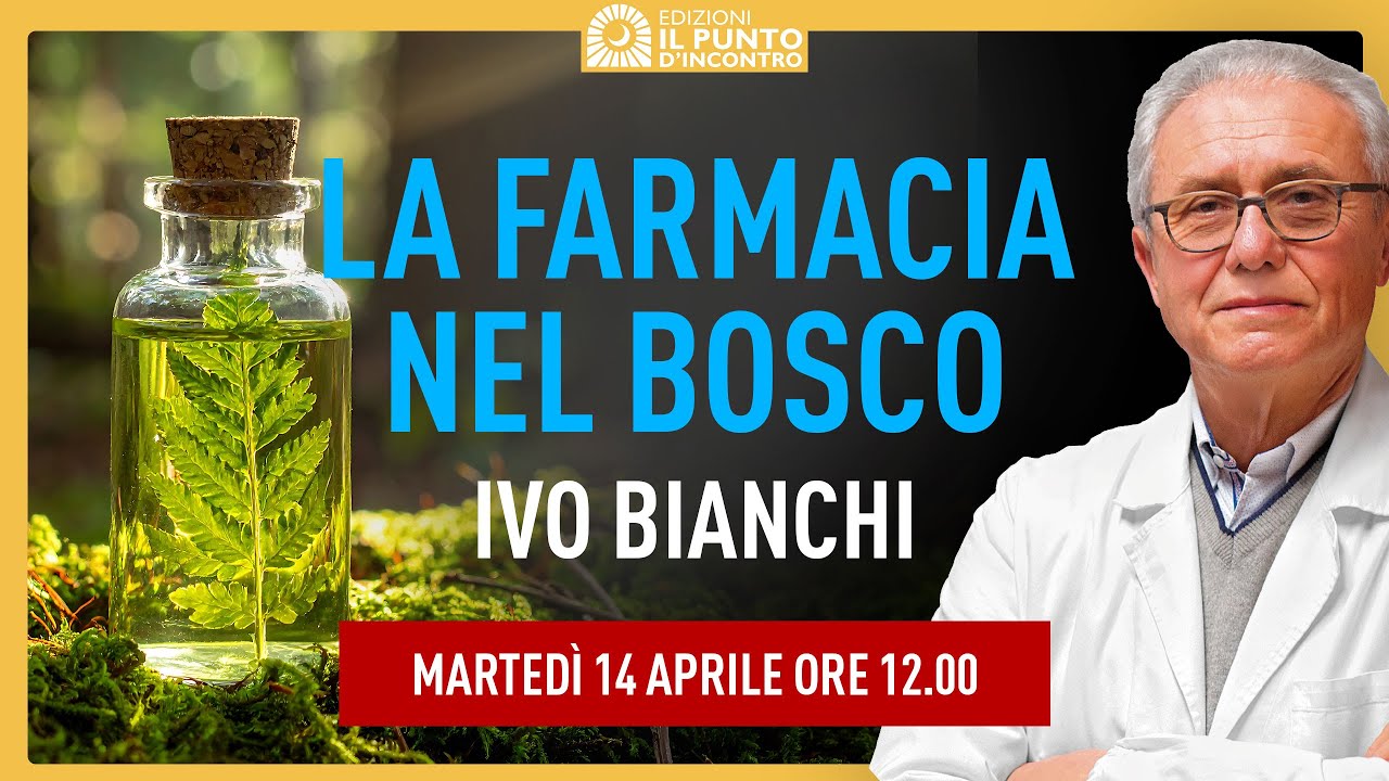 Erbe medicinale nel bosco #ivobianchi #farmacia