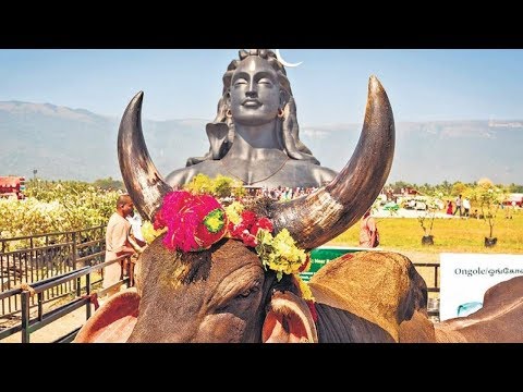 download lagu mp3 mp4 Why Is Mahashivratri Celebrated, download lagu Why Is Mahashivratri Celebrated gratis, unduh video klip Why Is Mahashivratri Celebrated