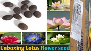 Unboxing Organics Kamal(Lotus) seed buy Flipkart online price135rs