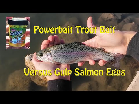 Are Gulp Alive Floating Salmon Eggs Better Than Powerbait Trout Bait? | First Time Usage
