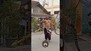 Download lagu pecutan warok Barongan Blora reog Ponorogo #shorts mp3