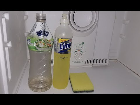 Como limpar geladeira por dentro bem facil e seguro