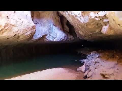 FoxRoo - Tunnel Creek, Kimberly, Western Australia