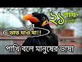 Talking Myna bird. kotha bola moina pakhi. Talking birds. pet birds