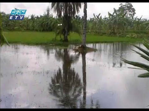 নাটোর জলাবদ্ধতা  ৩ হাজার একর জমি কয়েক বছর ধরে অনাবাদি