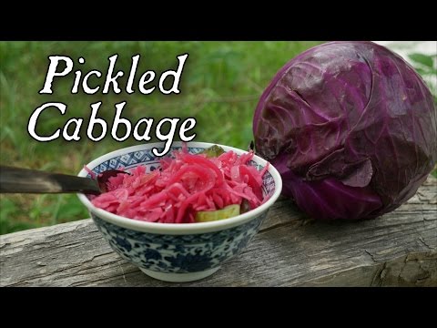 download lagu mp3 mp4 Red Cabbage Pickle Quick, download lagu Red Cabbage Pickle Quick gratis, unduh video klip Red Cabbage Pickle Quick