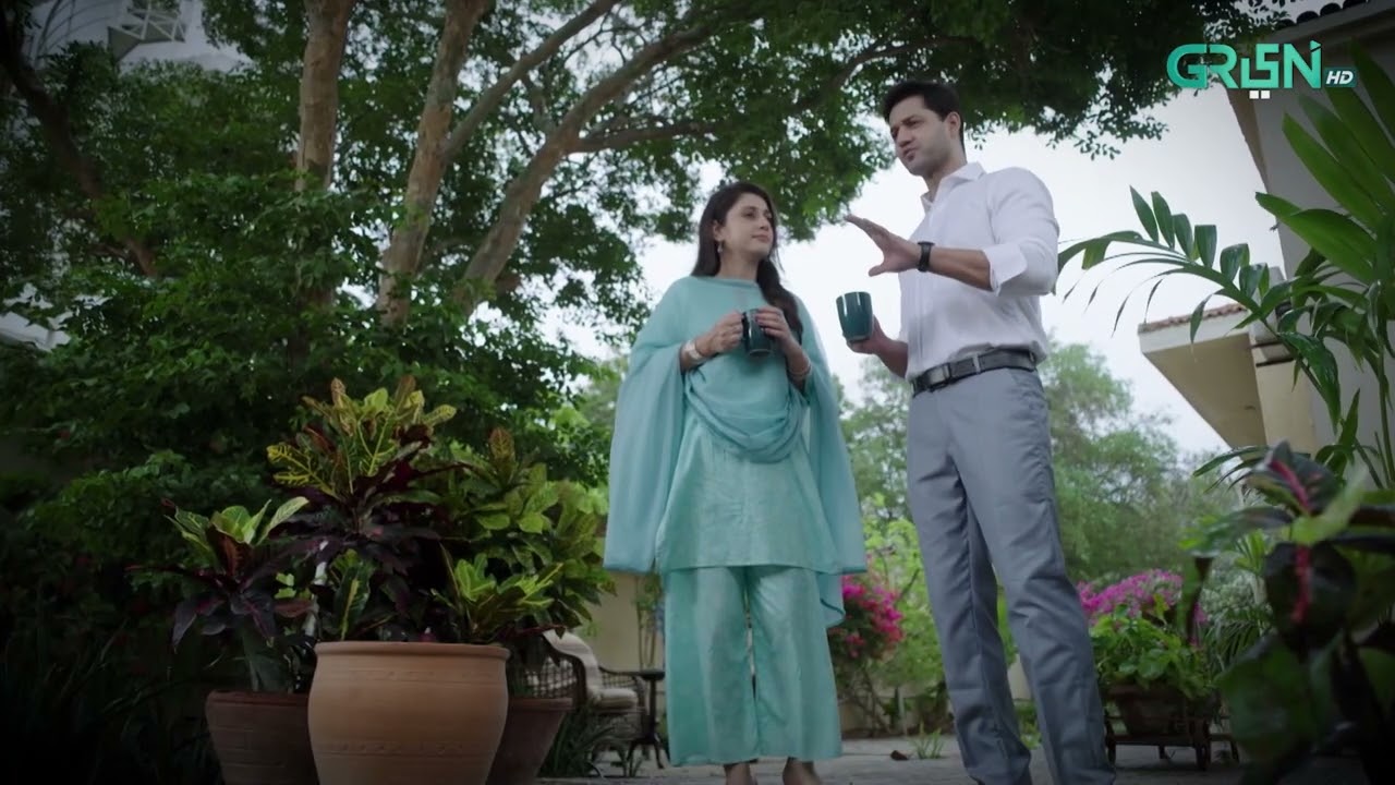 Chote Se Ghar Mein Bhari Bhari Khushiyan | Aik Bhool | Ali Abbas - Dania Enwer | Green TV