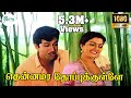 தென்னமர தோப்புக்குள்ளே குயிலே Thennamara Thopu