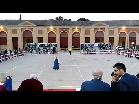 Contesa Estense Città di Lugo - Palio Sbandieratori e Musici - gare dell'11/05/25