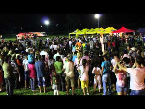 Niculina Stoican - Festivalul National De Folclor "Vara Pielesteana" 2014 Partea II