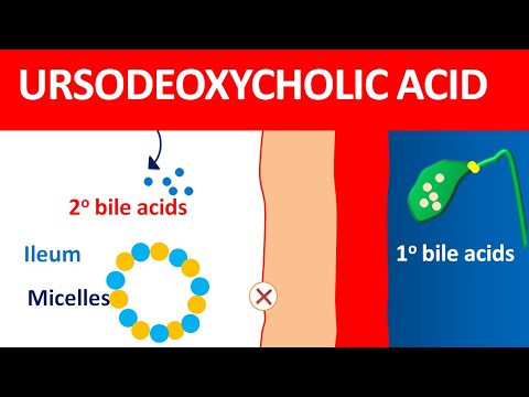 Ursodeoxycholic Acid 300 mg tablets