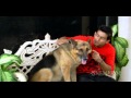 Nayee Padosan - Part 4 Of 13 - Mahek Chahal - Anuj Sawhney - Bollywood Movies Nayee Padosan - Part 4 Of 13 - Mahek Chahal - Anuj Sawhney - Bollywood Movies