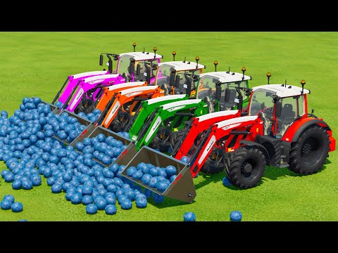 LOAD AND TRANSPORT BLUEBARRYS WITH FENDT TRACTORS - Farming Simulator 22
