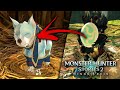 HOW TO GET PALAMUTES & PALAMUTE TICKETS in Monster Hunter Stories 2