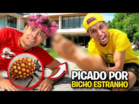 LEOZIN WAS BITTEN BY A VENOMOUS ANIMAL * I found the animal