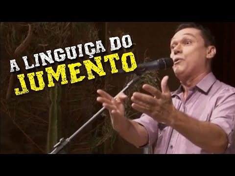 Amazan - A Linguiça do Jumento