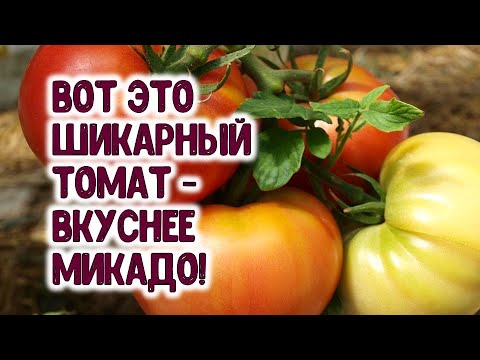 , title : '🍅 ЕСТЬ ЛИ ПОМИДОРЫ ВКУСНЕЕ ТОМАТА МИКАДО? ЕСТЬ! ОТКРЫТИЕ 2020 ГОДА - НОВЫЙ МЕДОВЫЙ РОЗОВЫЙ ТОМАТ'