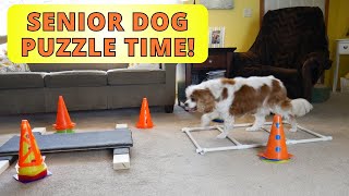 Brain Games and Fitness for Senior Cavaliers (Pt 2)Slow Down & Focus with 2-Bowl Game (Vito's Game)