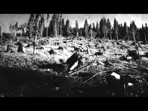 Ajilvsga - Empty The Ashes