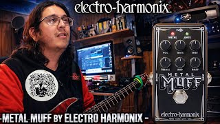 Video thumbnail for Metal Muff by Electro Harmonix ( Distortion with Gate )  Full review by Solomonic Demons