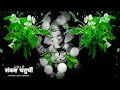 Sankashti Chaturthi Whatsapp Status 2023 Sankashti Chaturthi 2023 Status संकष्ट चत�