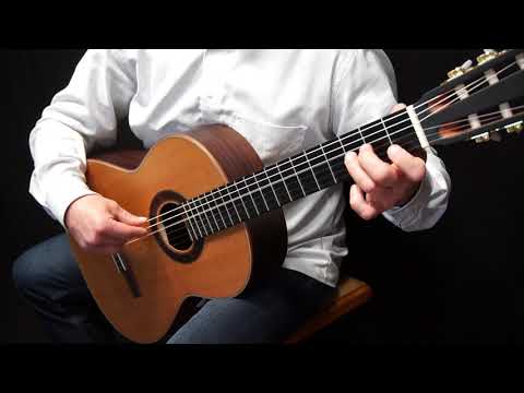 The Drunken Sailor - (easy guitar) - Nr. 56 Gitarren Starter 1 - Cees Hartog