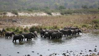 Jim Corbett