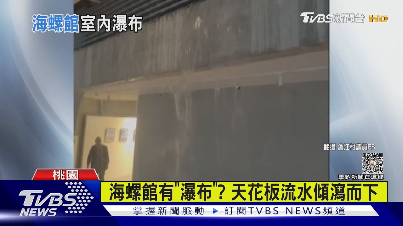 海螺館有「瀑布」？　天花板流水傾瀉而下