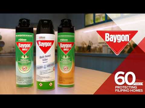 Baygon: Happy Birthday (15 sec, Chinese audio)