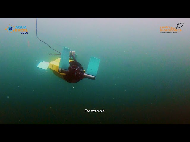 Undervannsrobotikk