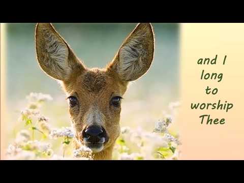 I saw a thirsty deer...