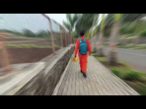  Tolani Maritime Institute #TMI 