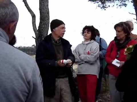 Carote trattamento articolazioni Nel mal di schiena durante il sonno