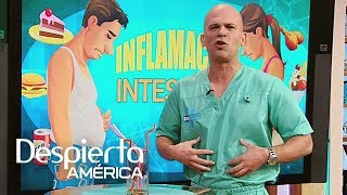 Inflamación intestinal: a qué se debe y cómo solucionarla | Despierta América